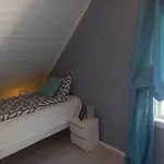 Feriehus Hytte Sorlandet Med Spa *