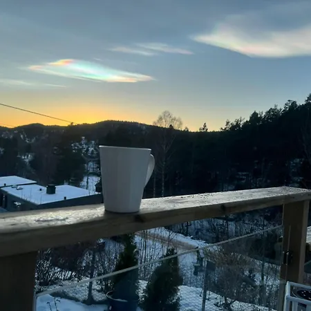 Hytte Sorlandet Med Spa * Froland Verk